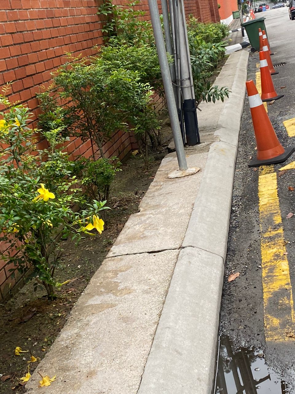 Using 150c steam and low pressure to clean the sidewalk after picture